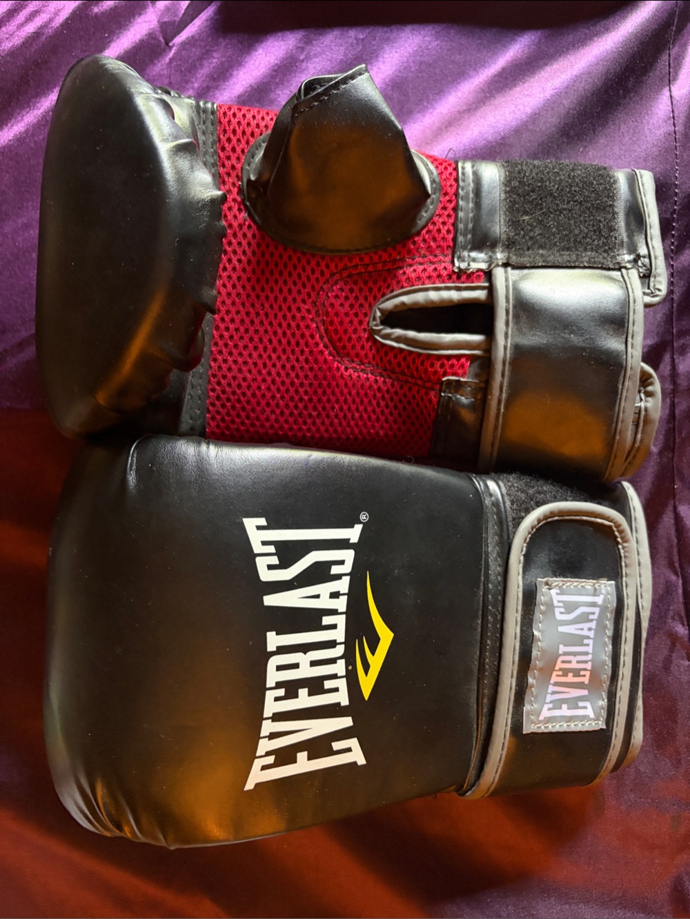 Everlast Black with Red Mesh Training Boxing Gloves